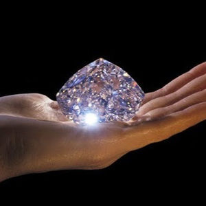 Meet your Posher, Tina